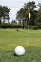 Golf Ball to Green