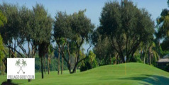 IMPACT AWARE™ Golf Teaching Location The Village Golf Club